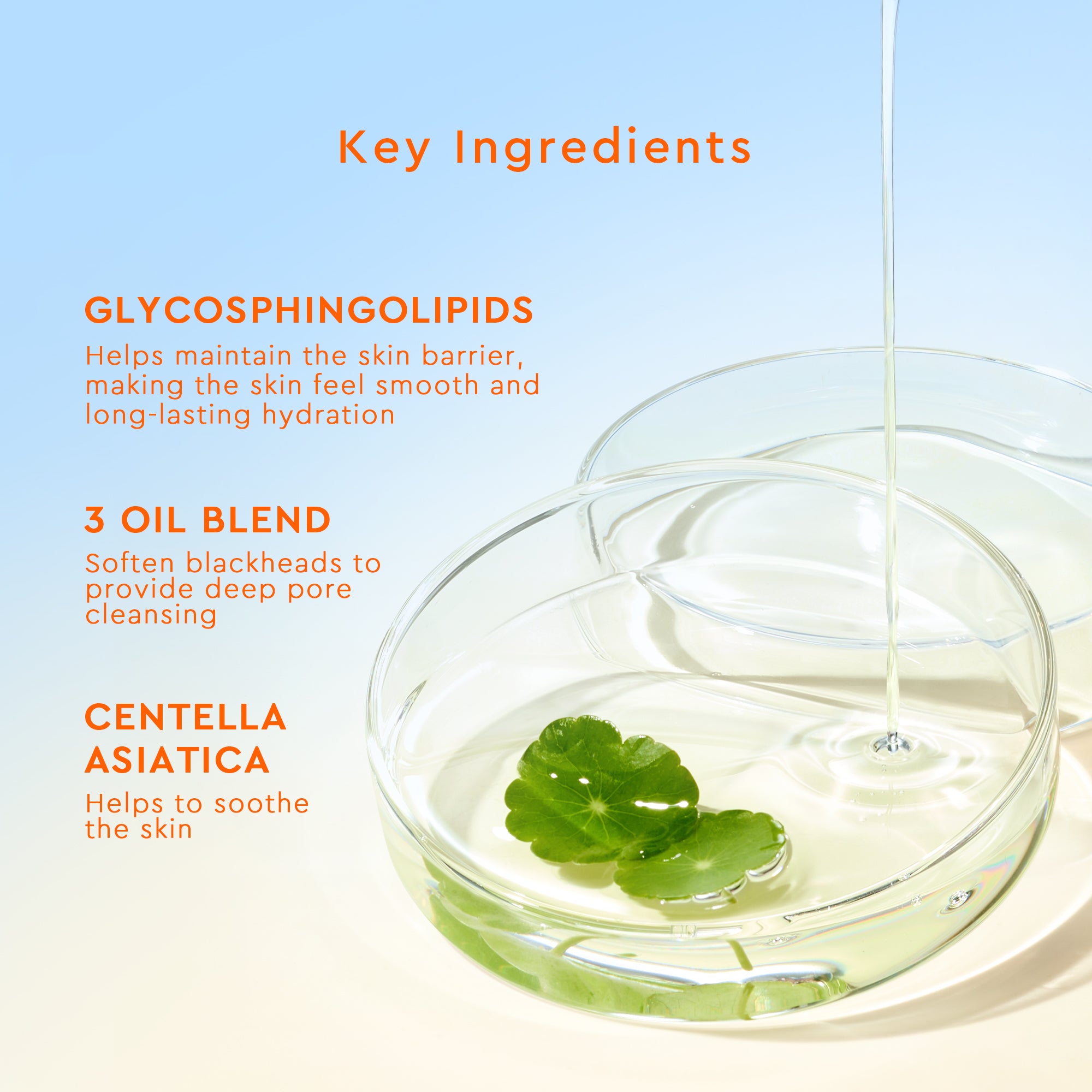 Madagascar Centella Light Cleansing Oil