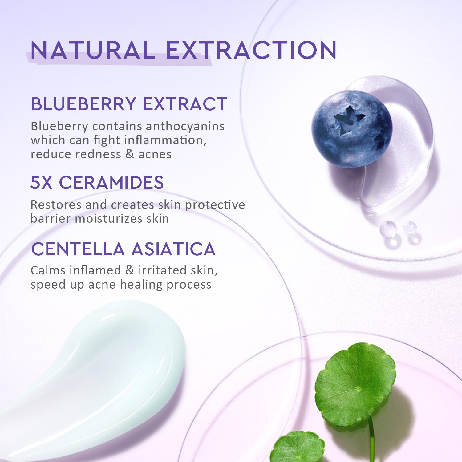 Blueberry Ceramide Barrier Moisturizer
